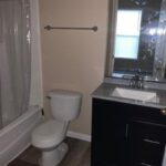 Bathroom with white toilet and black vanity.