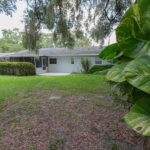 Backyard with house and green foliage.