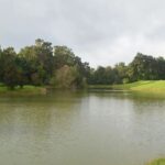 Serene lake scene with green trees.