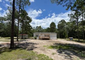 House surrounded by trees under blue sky.