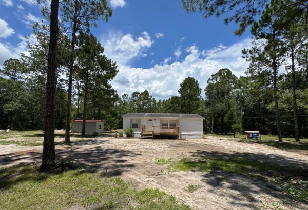 House surrounded by trees under blue sky.